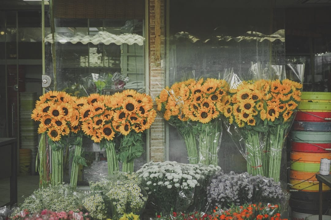 Kleurrijke bloemenwinkel met seizoensbloemen - bloemist webshop voor lokale bloemisten in West Betuwe