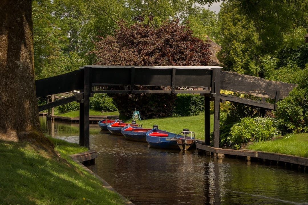 Webshop laten maken in Est - professionele e-commerce ontwikkeling voor bedrijven in Est, West Betuwe