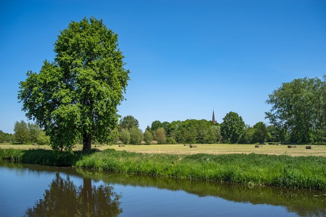 Webshop laten maken in Rumpt - professionele e-commerce ontwikkeling voor bedrijven in Rumpt, West Betuwe